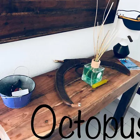 Octopus House *