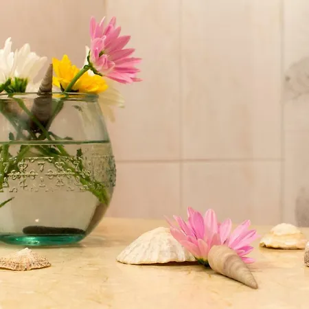Apartamento Octopus House *