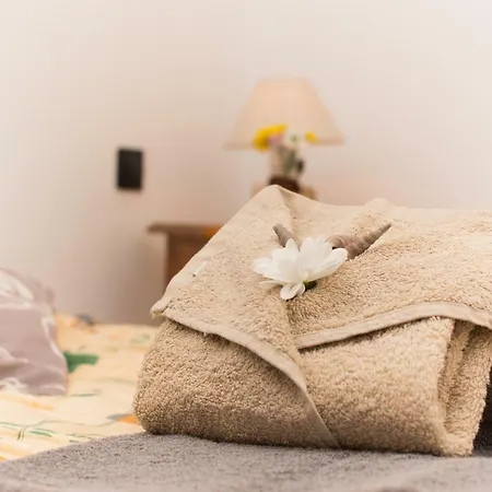 Apartamento Octopus House